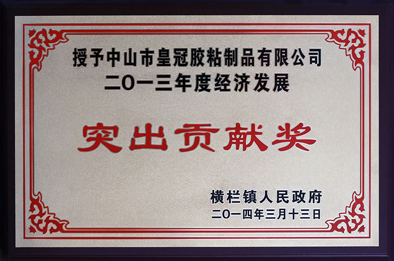 榮獲“2013年度經濟發展突出貢獻獎”
